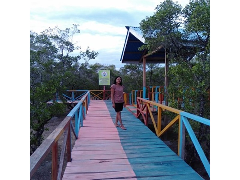 WISATA MANGROVE SABU RAIJUA
